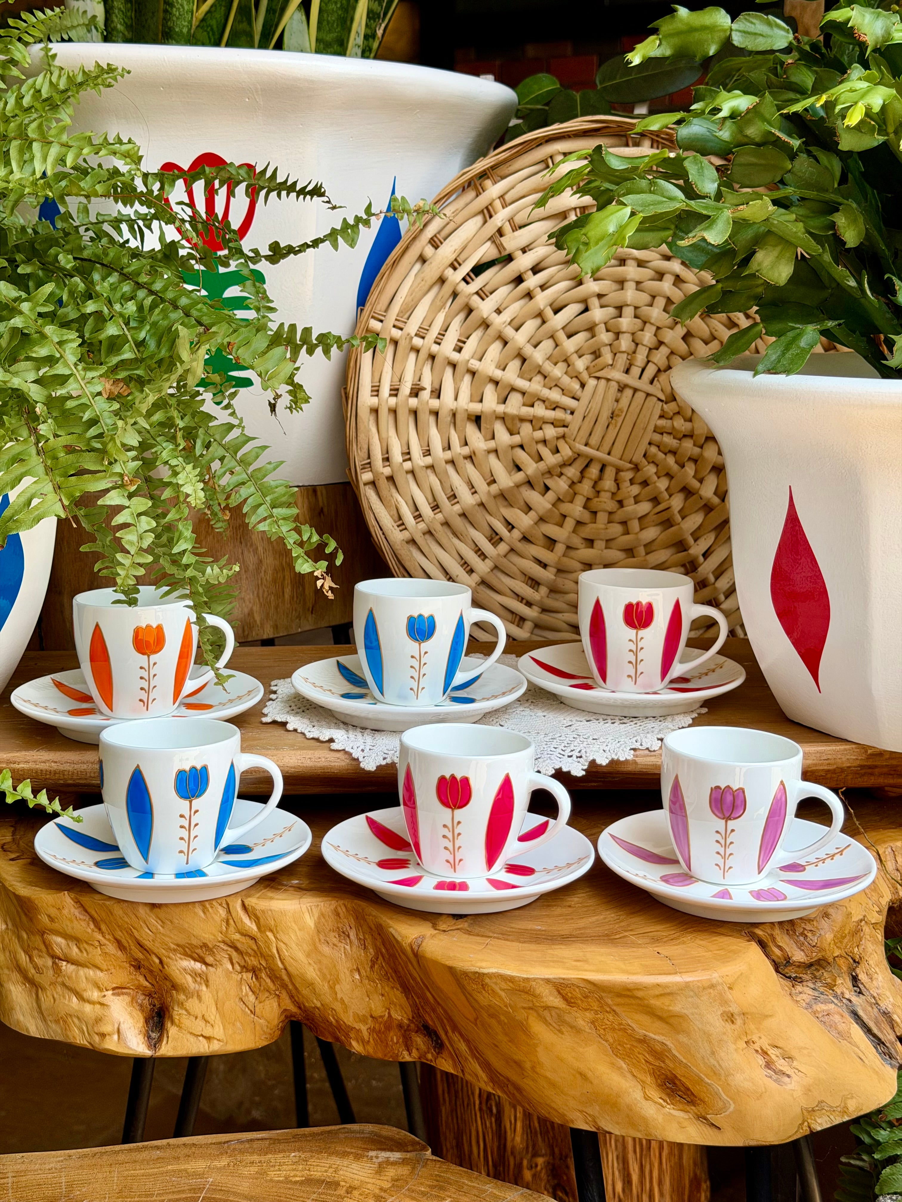 Multicolored Tulips Collection 55$