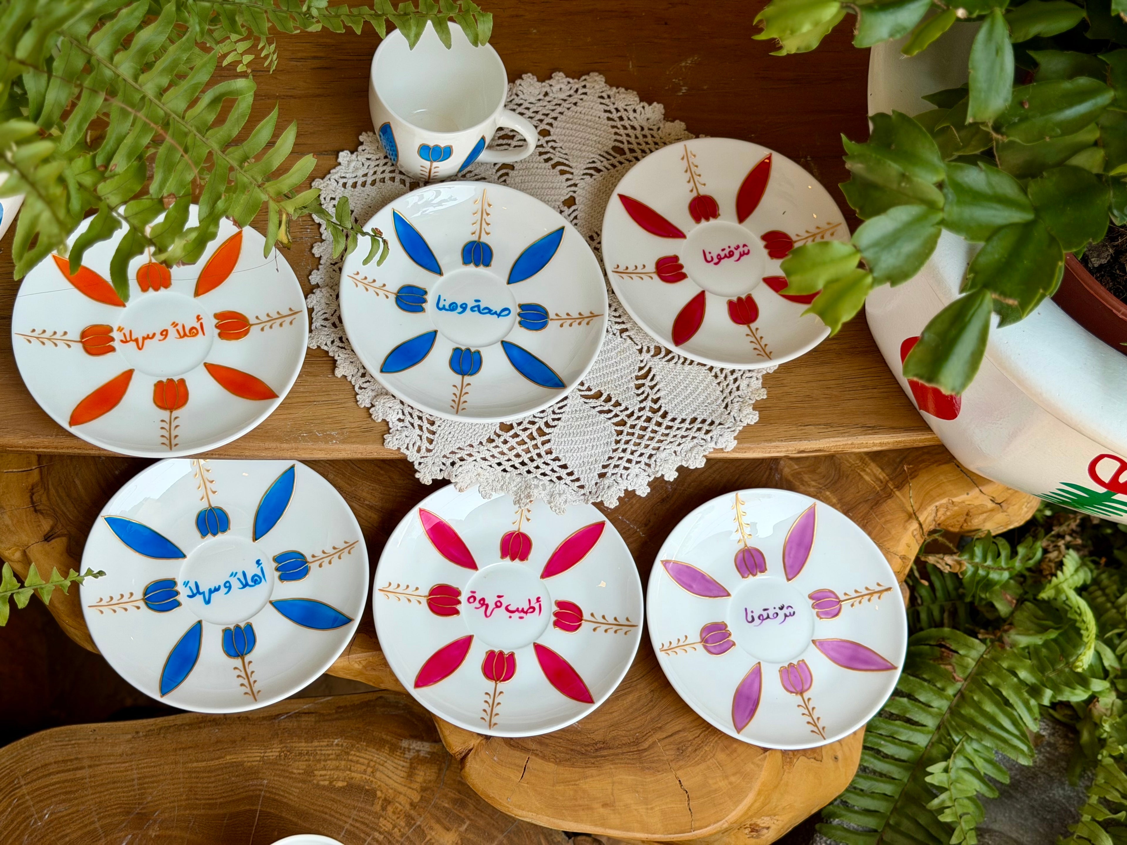 Multicolored Tulips Collection 55$