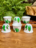 Cactus collection
