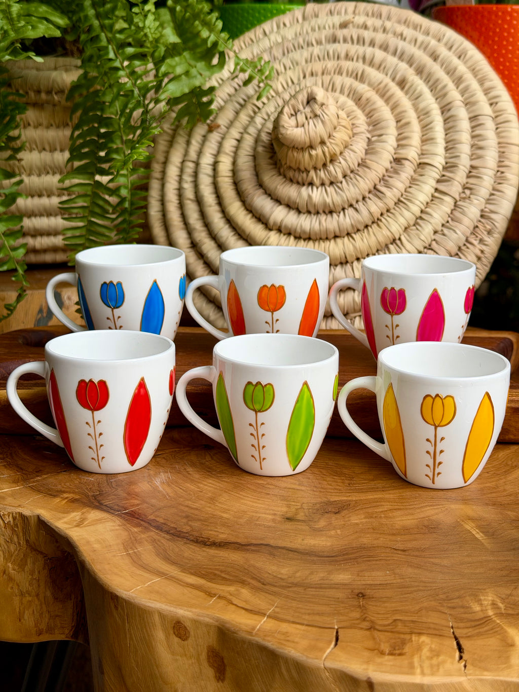 TULIPS collection