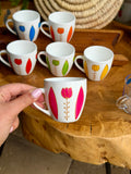 TULIPS collection