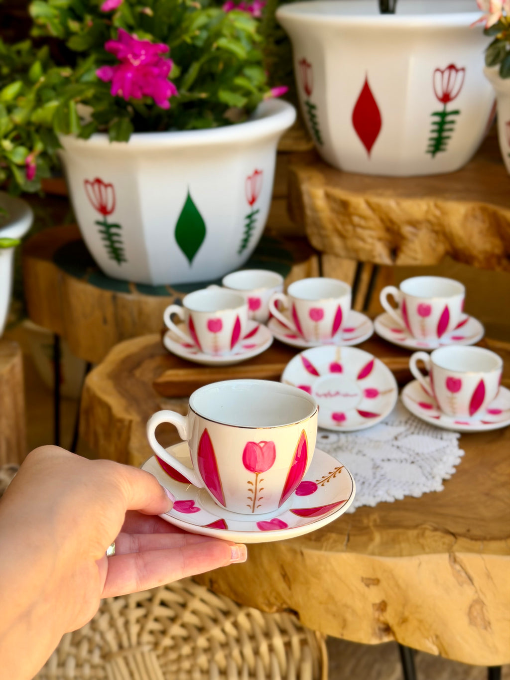 Fushia & Pink Tulip Collection