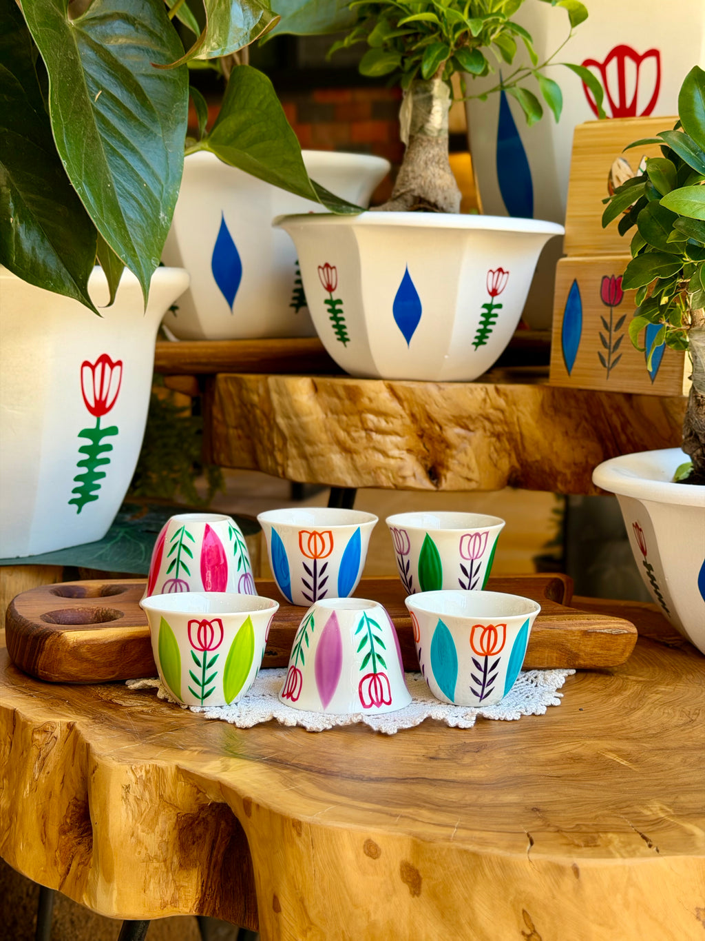 Multicolored tulip collection
