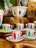Multicolored Tulips Collection