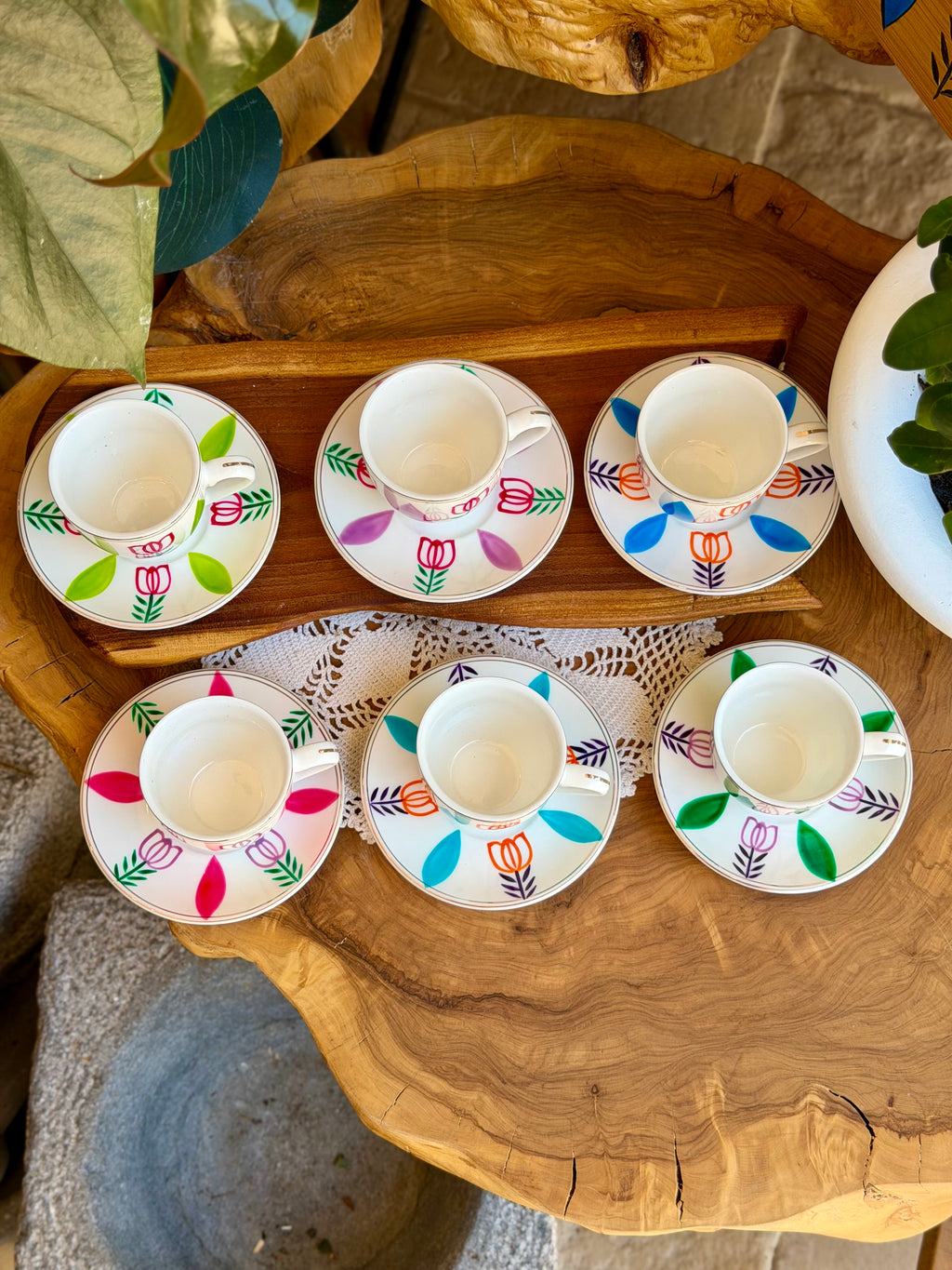 Multicolored Tulips Collection
