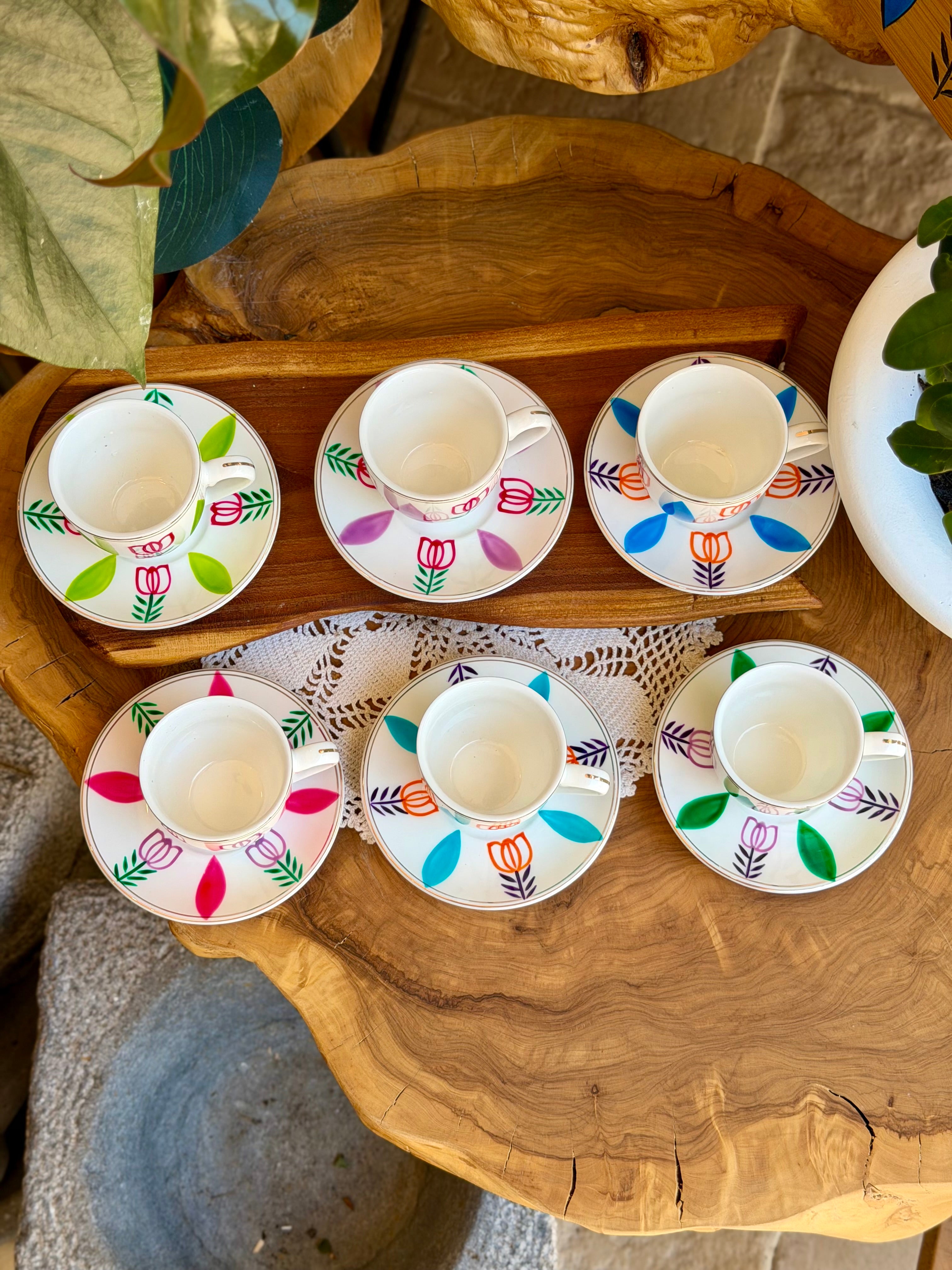 Multicolored Tulips Collection