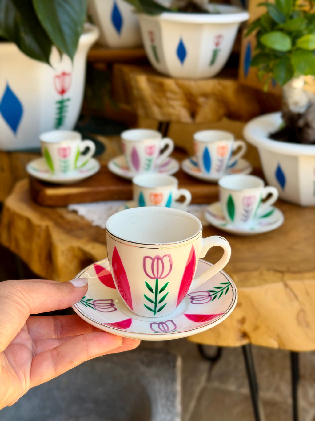 Multicolored Tulips Collection
