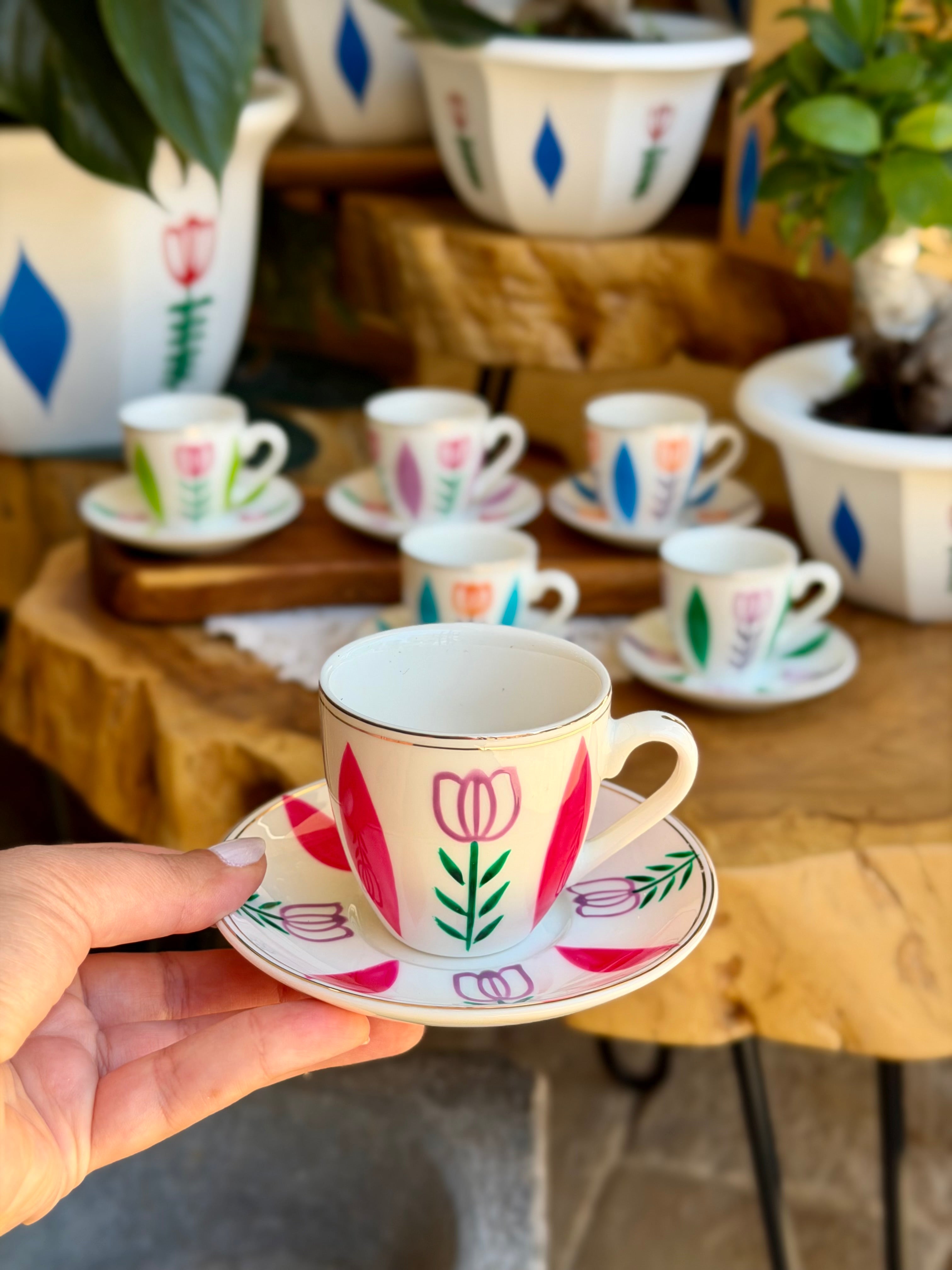 Multicolored Tulips Collection