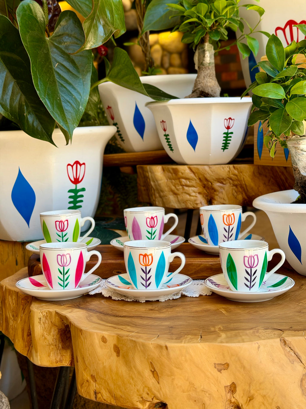 Multicolored Tulips Collection