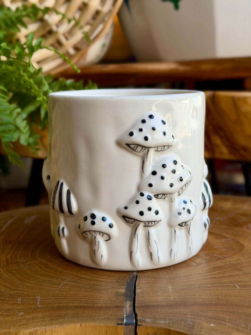 Mushroom planter