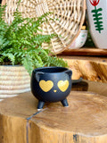Cat planter