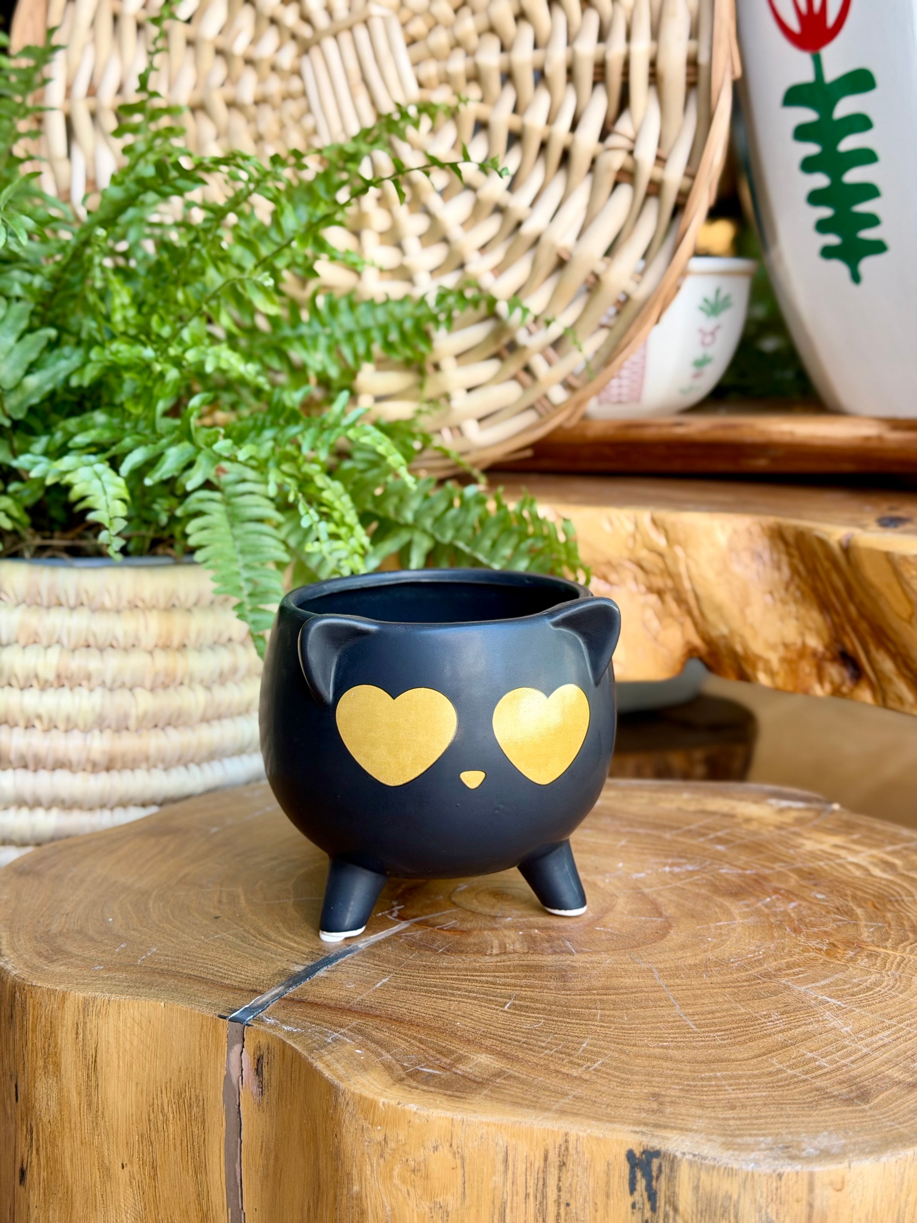Cat planter
