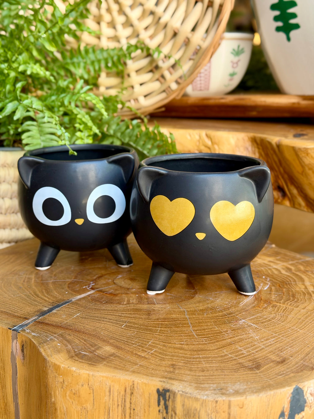 Cat planter