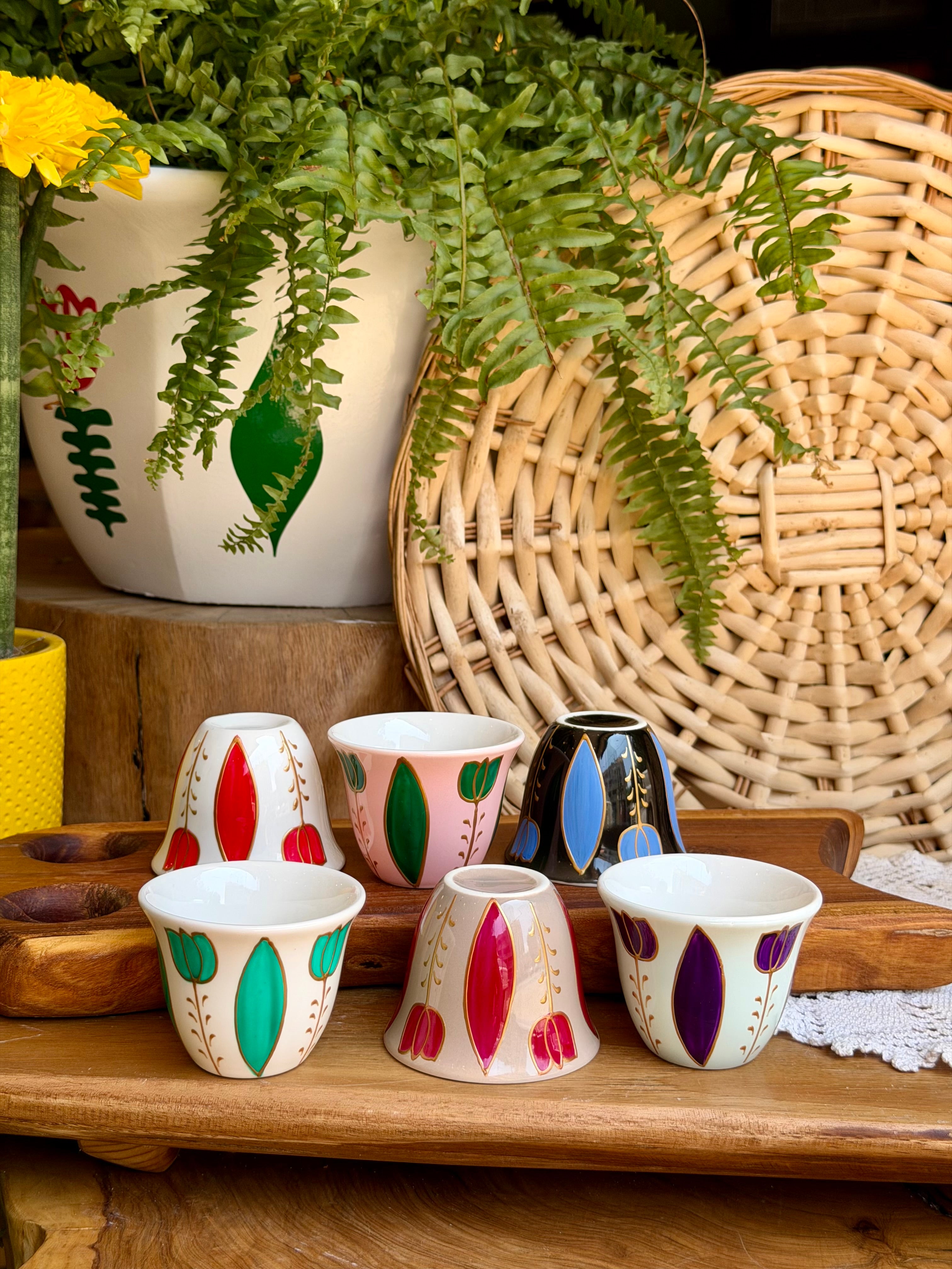 Multicolored shafe cups tulips collection 35$