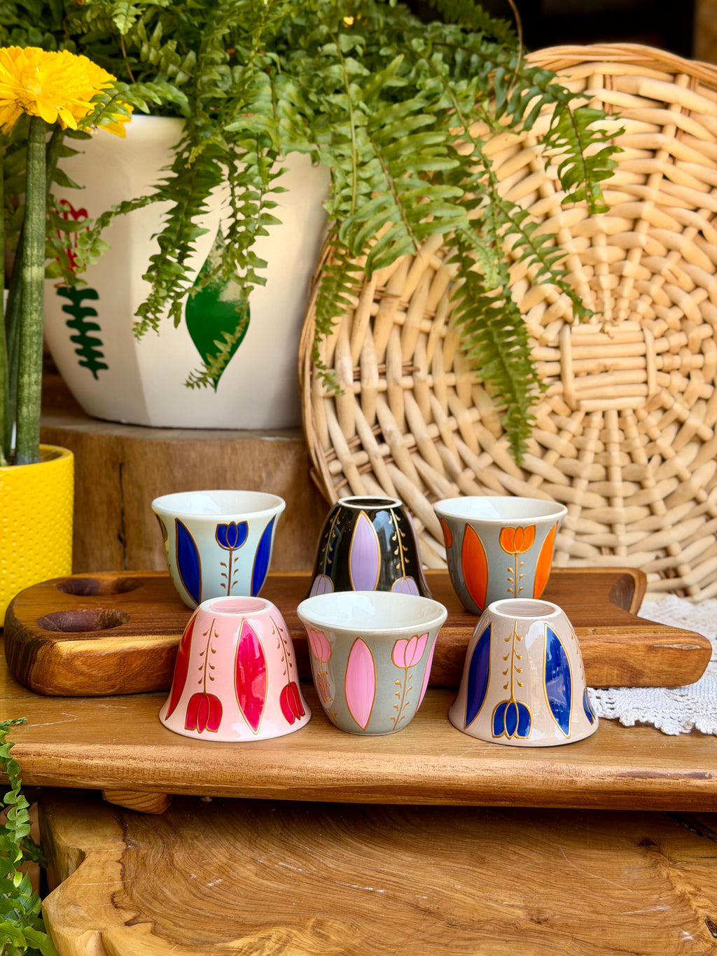 Multicolored shafe cups tulips collection