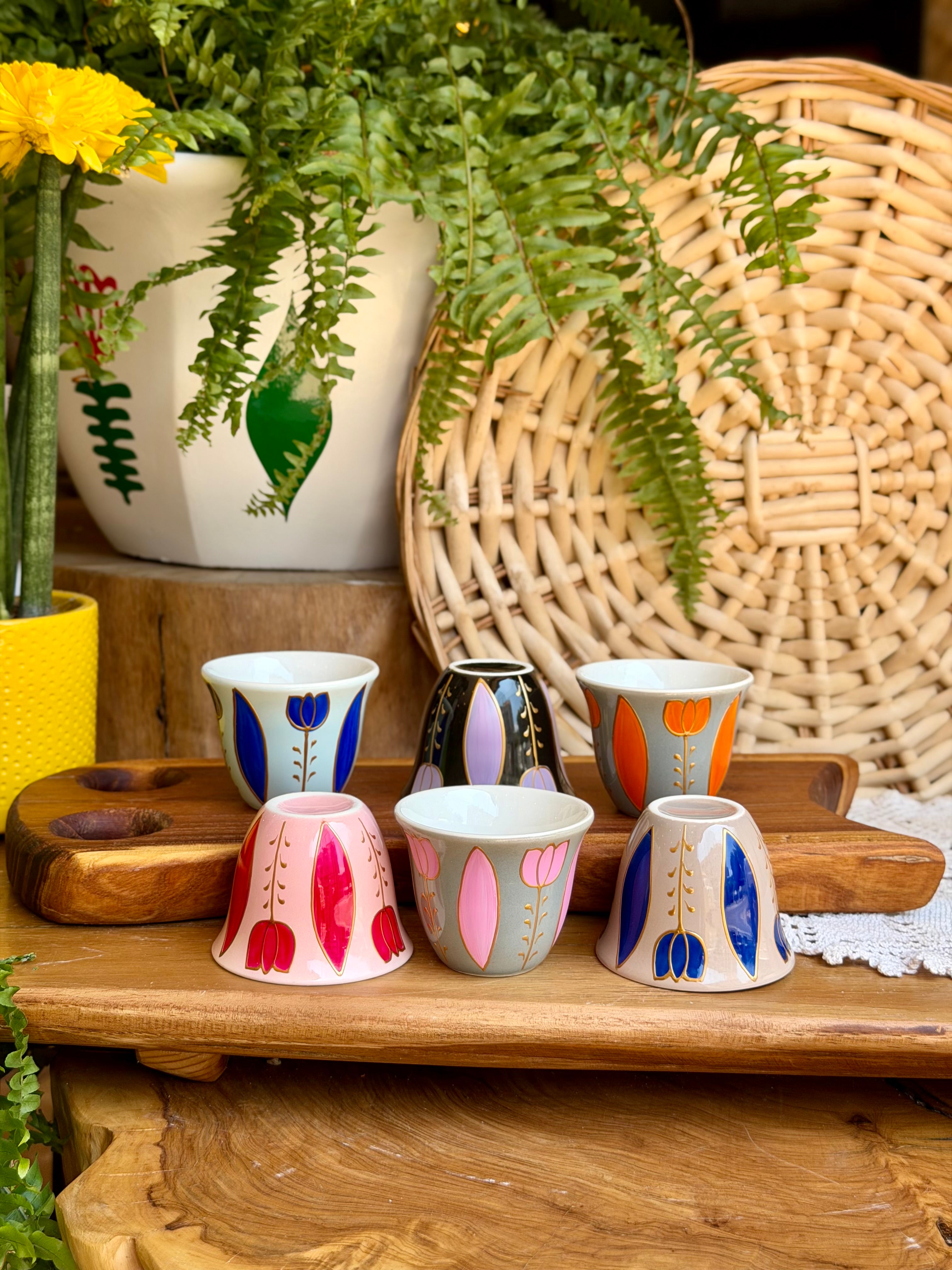 Multicolored shafe cups tulips collection