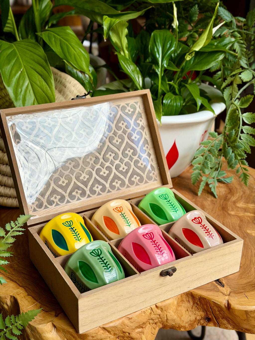 tulips colored shafe cups 100 ml