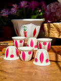 Pink Tulips Collection