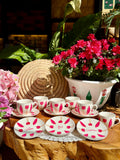 Pink Tulip Collection