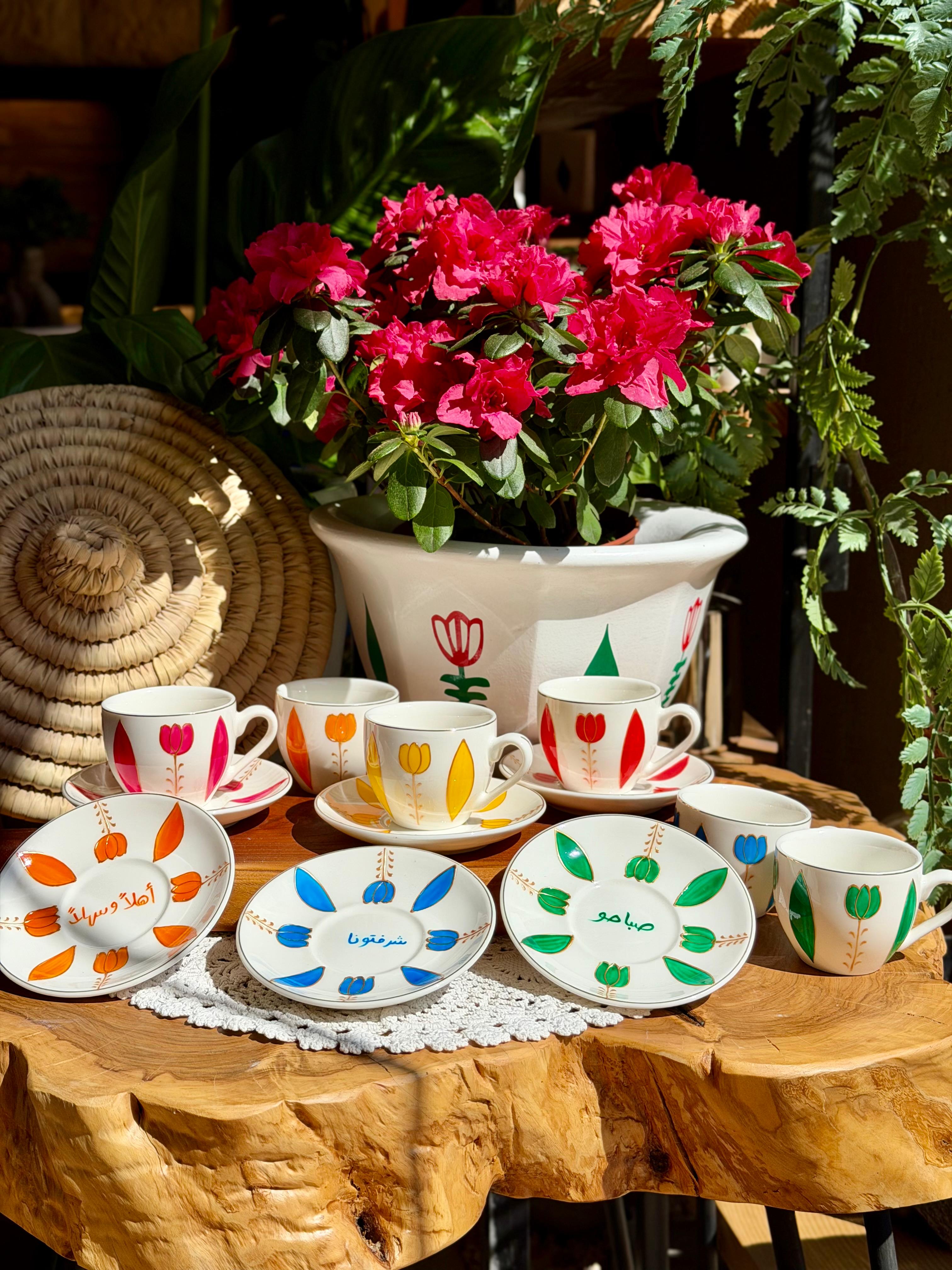 Multicolored Tulips Collection