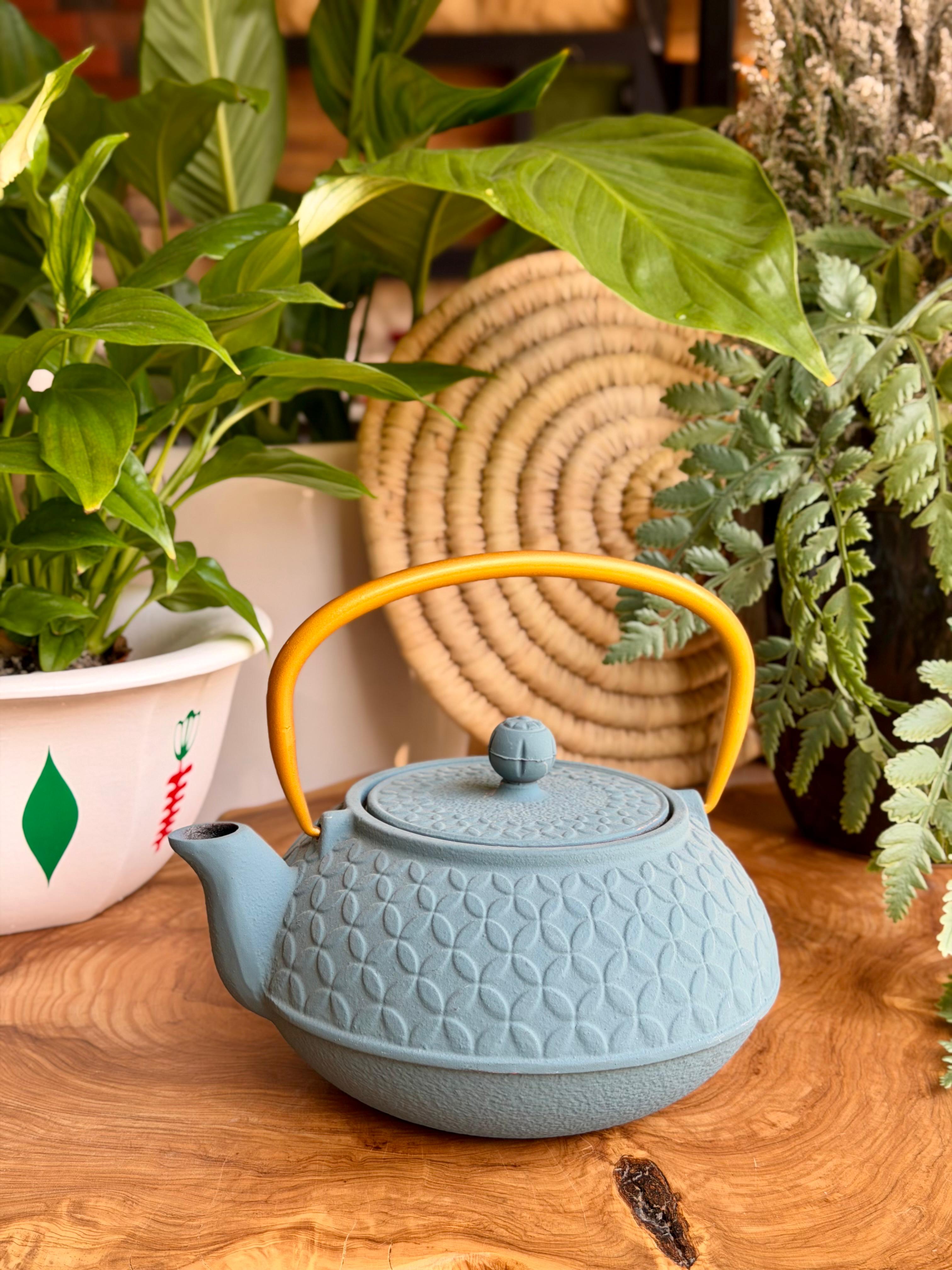 Cast Iron Tea Pot