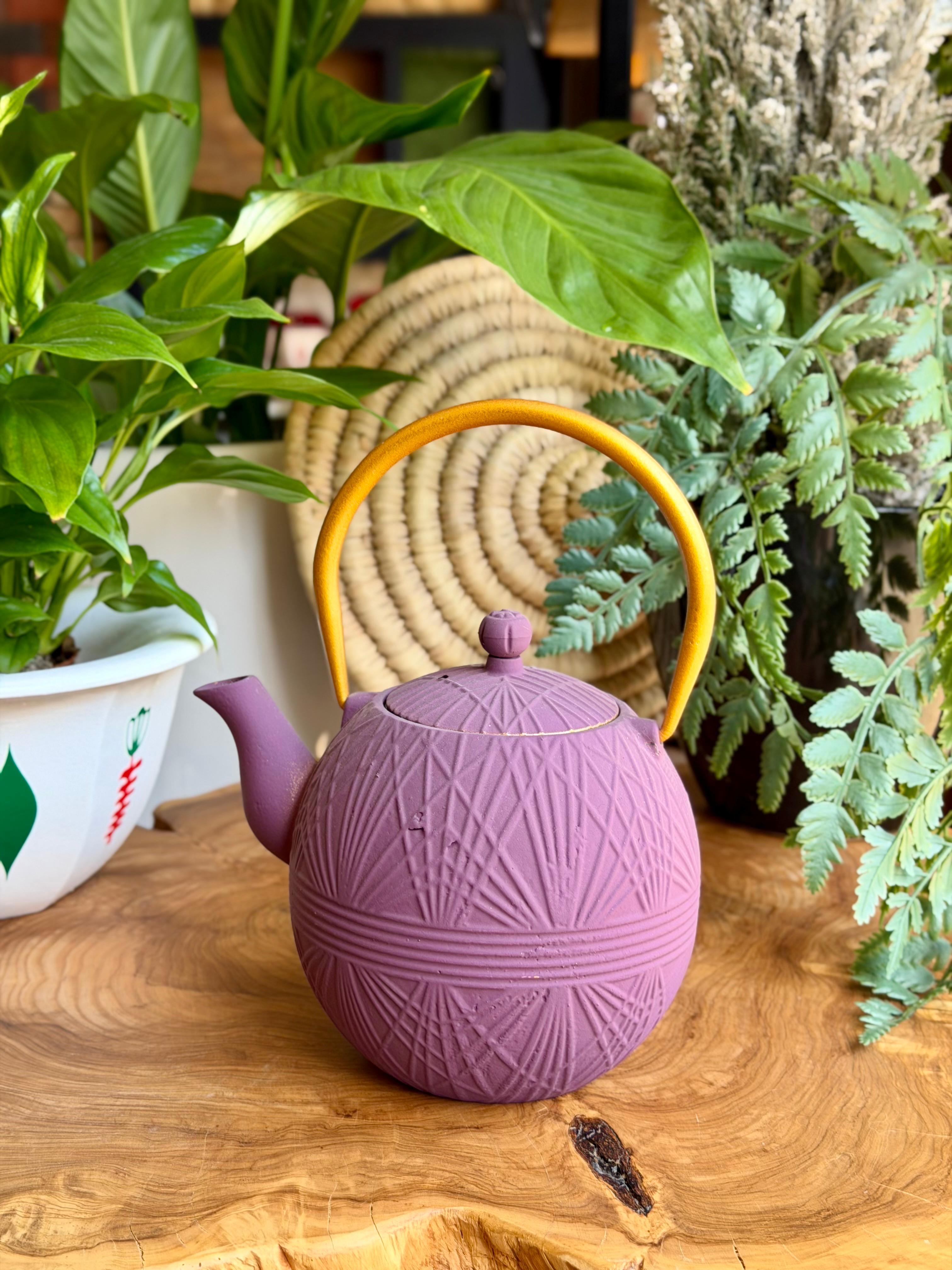 Cast Iron Tea Pot