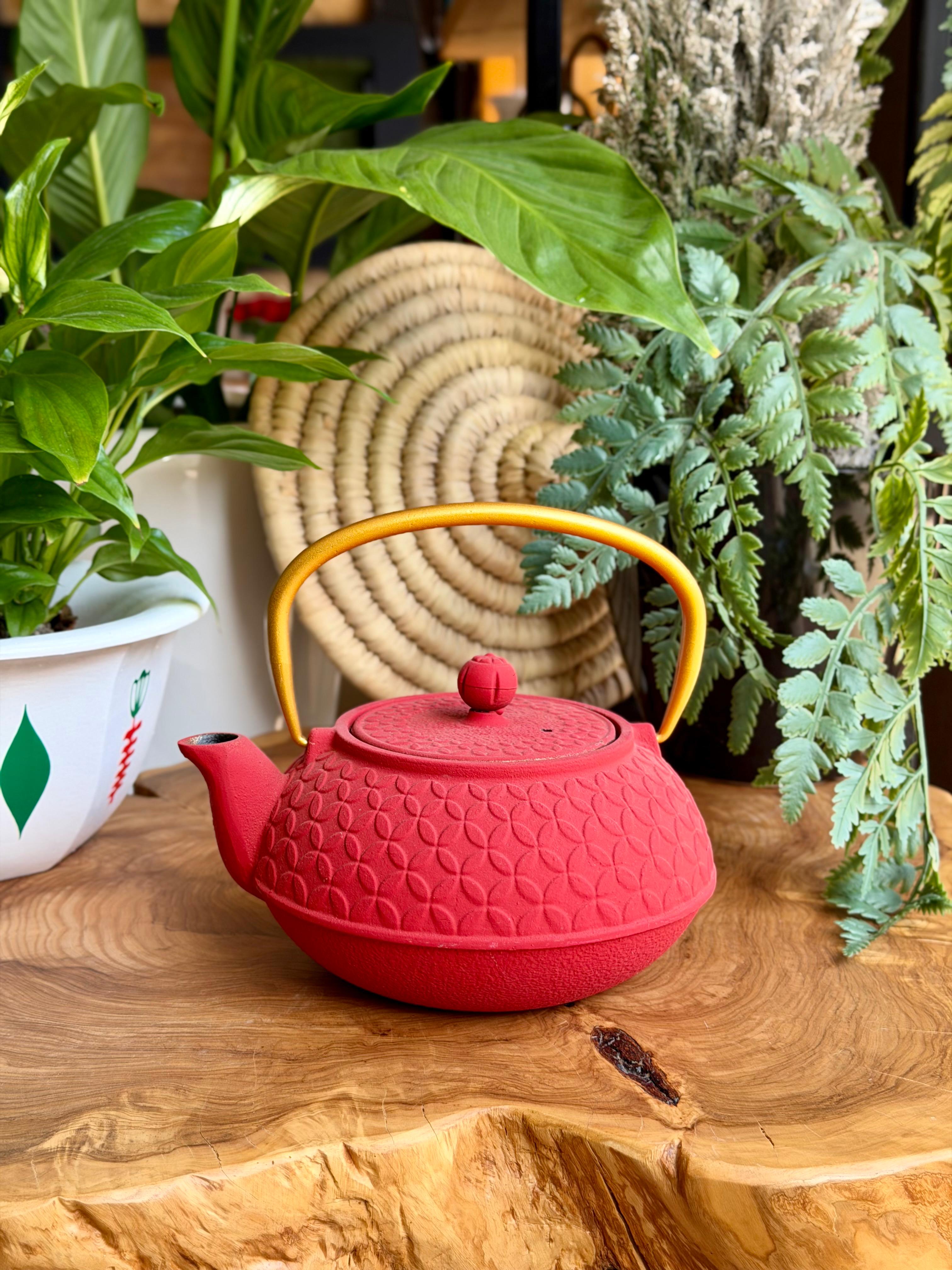 Cast Iron Tea Pot