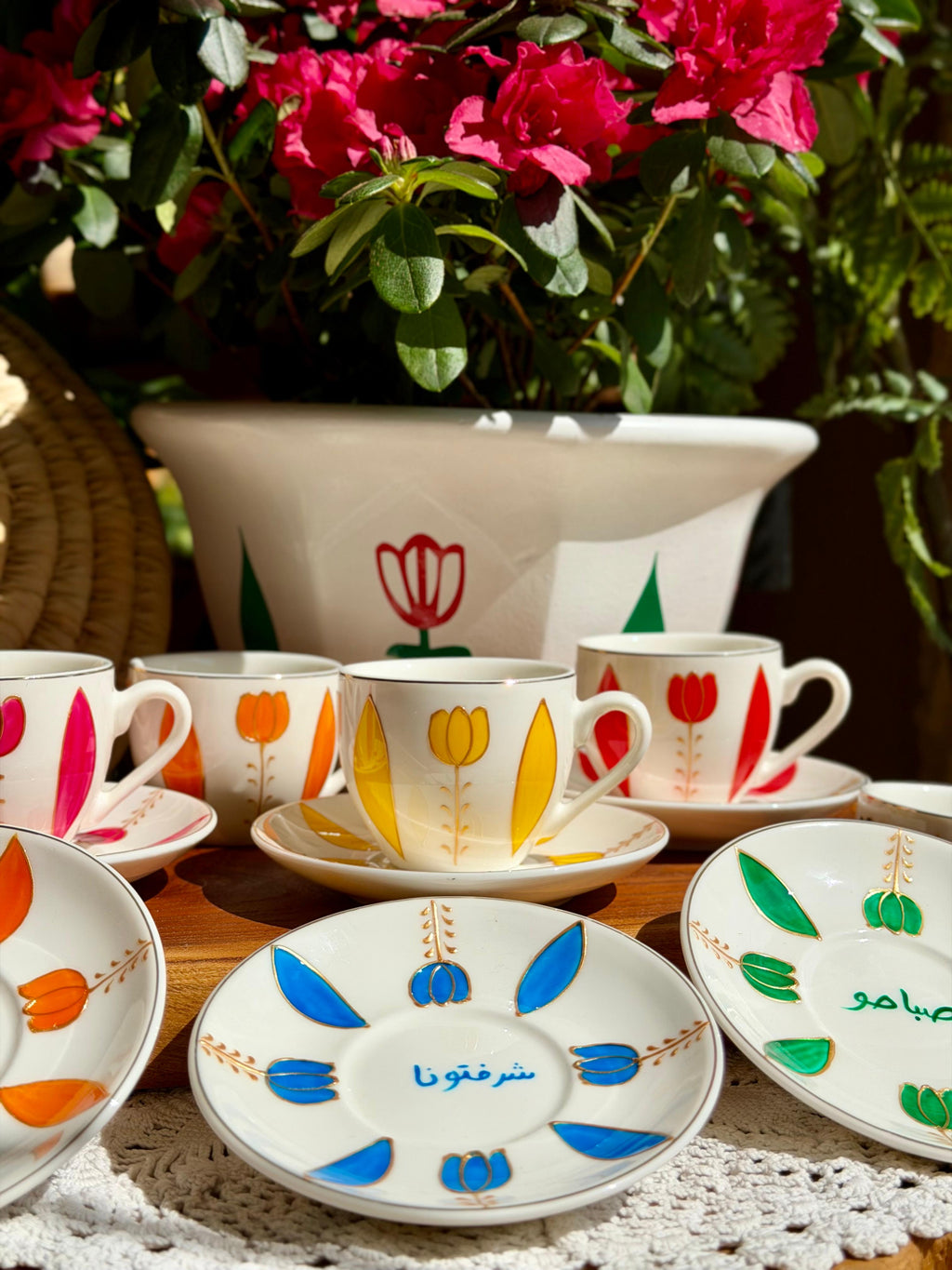 Multicolored Tulips Collection