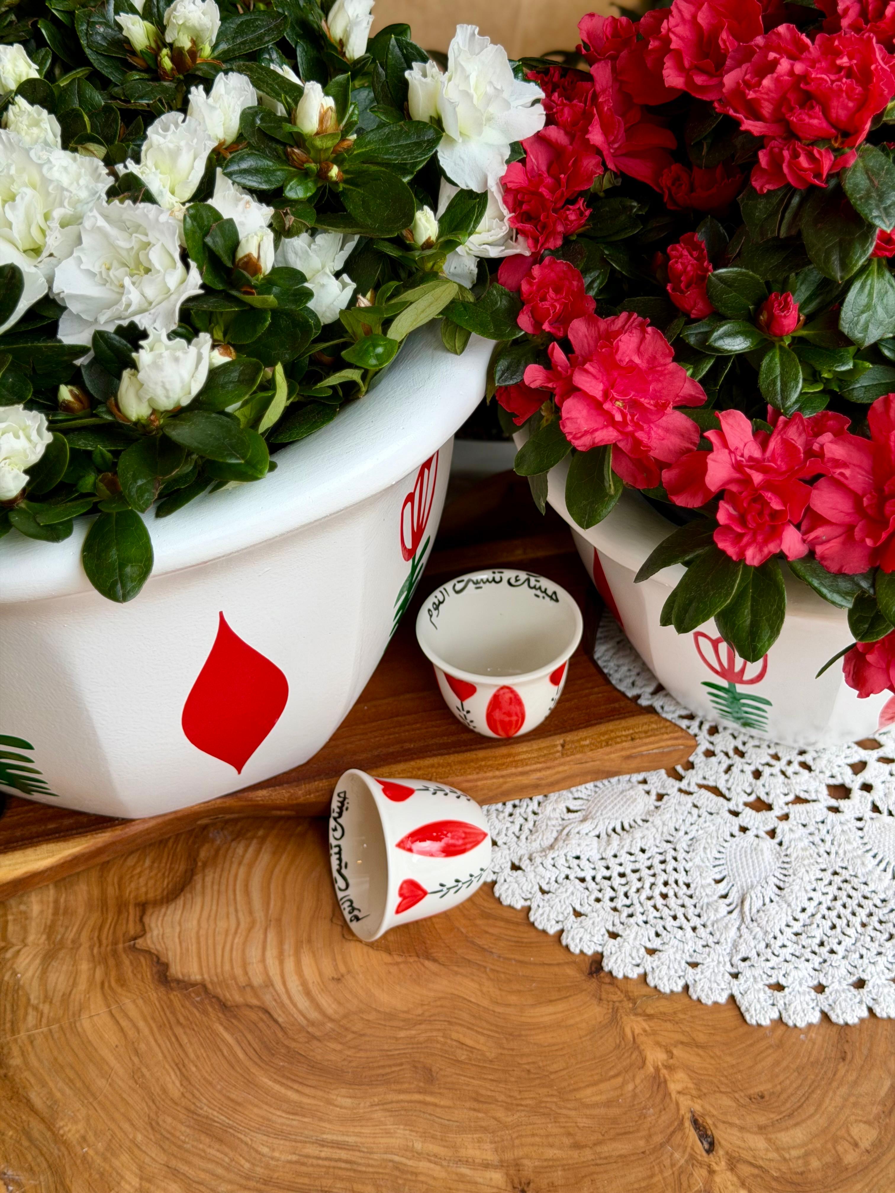 Red tulip coffee set